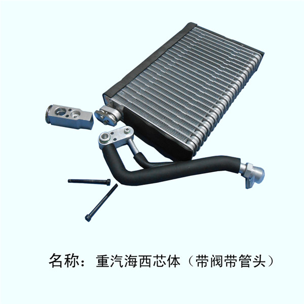  重汽海西心带管头阀福田H2/H3