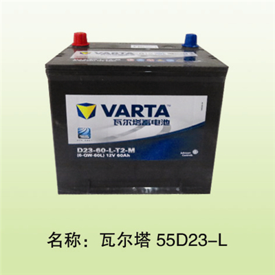  骆驼DF55D23R（黄）