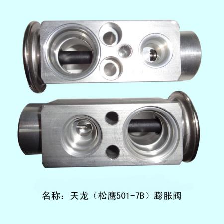  天龙/天锦膨胀阀