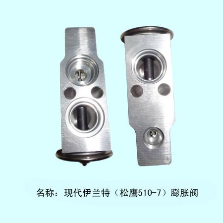 伊兰特膨胀阀