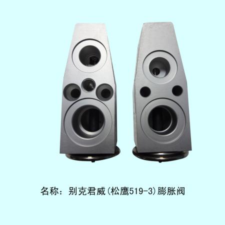  别克君威膨胀阀（松鹰519-3）