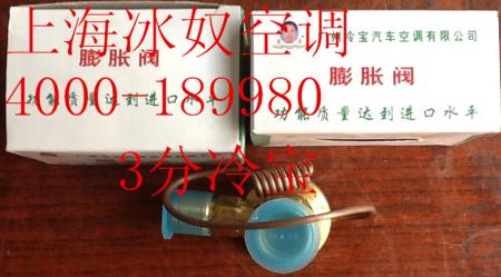  冷宝3分膨胀阀