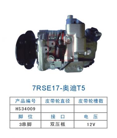  双狮7RSE17-奥迪T5