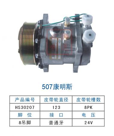  双狮507康明斯