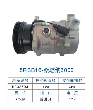  双狮5RSB16-桑塔纳3000