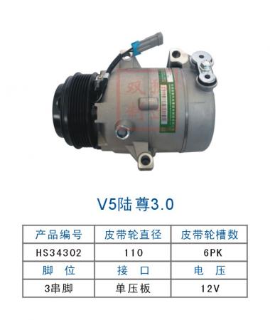  双狮V5陆尊3.0