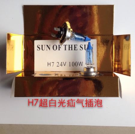 H7疝气插泡12V24V