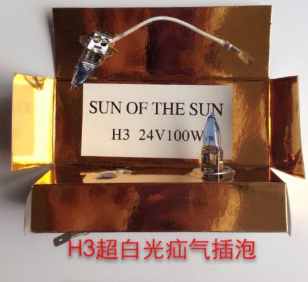  H3疝气插泡12V24V