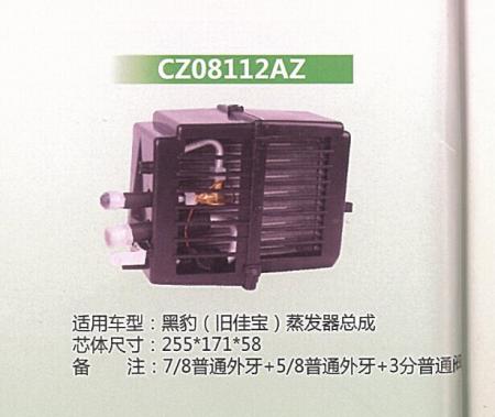  黑白（旧佳宝蒸发器总成）